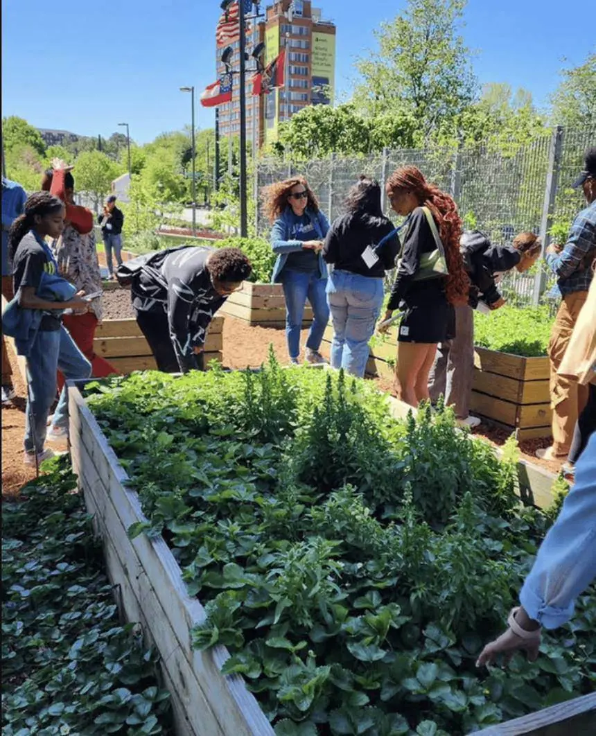 Atlanta residents tend raised garden beds at a downtown community garden